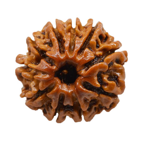 10 Ten Mukhi (face)