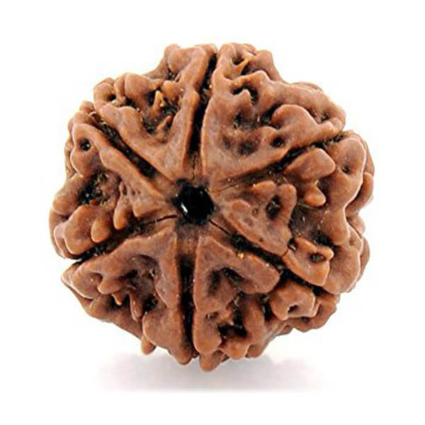 6 Six Mukhi (face)