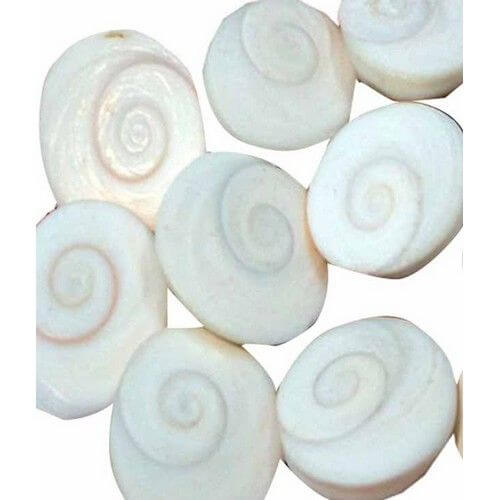 Shopoj Very Rare Natural Gomati Chakra – 7 Pcs